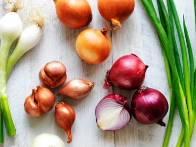 Cung cấp hành tím sỉ và lẽ tại Thành phố Hồ Chí Minh