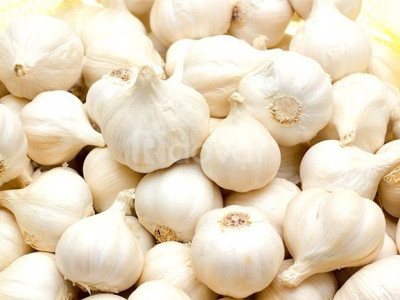 Đơn vị phân phối Tỏi Lý Sơn tại TPHCM chính gốc giá tốt