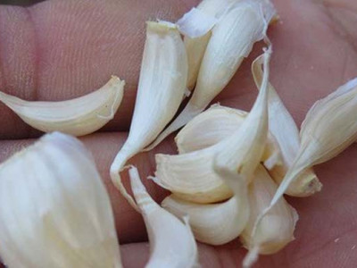 Chuyên bán sỉ và lẻ Tỏi Lý Sơn tại Tphcm