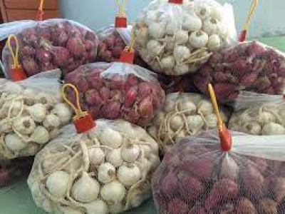 Nơi bán tỏi Lý Sơn chính hiệu uy tín giá rẽ nhất