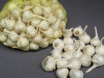 Nơi cung cấp tỏi lý sơn giá sỉ chính gốc tại Tphcm