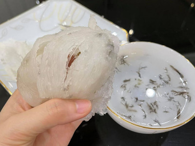 Yến sào xuất khẩu tphcm, địa chỉ chuyên xuất khẩu yến sào tại Tphcm