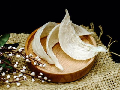 Công ty buôn bán yến thô, yến sơ chế sỉ & lẻ