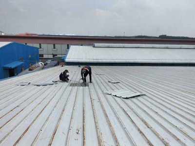 Thay Tôn Nhà Xưởng, Báo Giá Thay Tôn Nhà Xưởng trọn gói theo yêu cầu