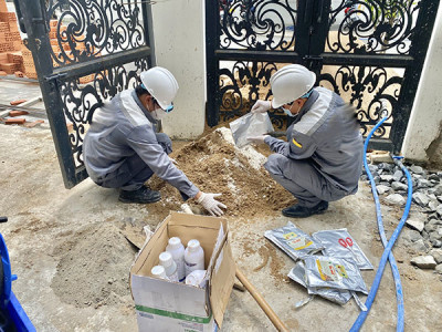 Dịch vụ phòng chống mối và diệt côn trùng uy tín tại Tphcm