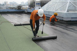 Dịch vụ chống thấm chống dột uy tín giá rẻ tại Thái Bình