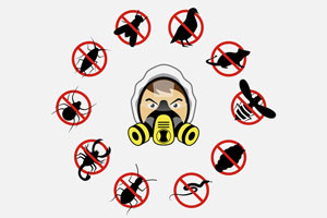 Công ty kiếm soát côn trùng & phun khử khuẩn chuyên nghiệp