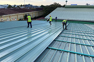 Công ty đơn vị thay tôn chống dột uy tín tại Bình Phước