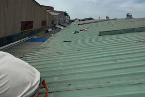 Đơn vị thay tôn chống dột uy tín giá tốt tại Long An