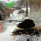 Cafe Dak Lak loại 500 Gram uy tín