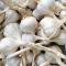 Tỏi trắng Lý Sơn giá rẻ