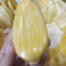 Mít nghệ Cái Bè Tiền Giang 3