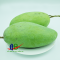 Xoài Đài Loan xuất khẩu chất lượng