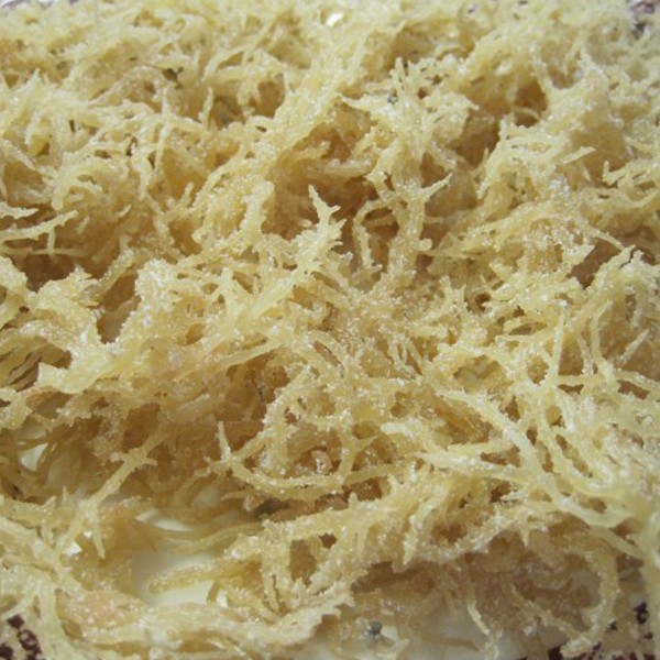 Rau Câu Chân Vịt Lý Sơn - Quốc Bửu Group