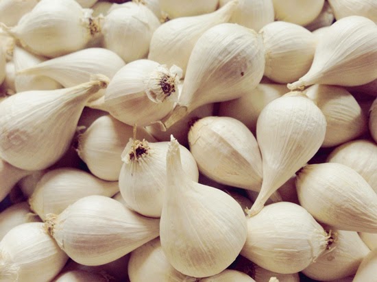 Tỏi Cô Đơn Lý Sơn - Quốc Bửu Group